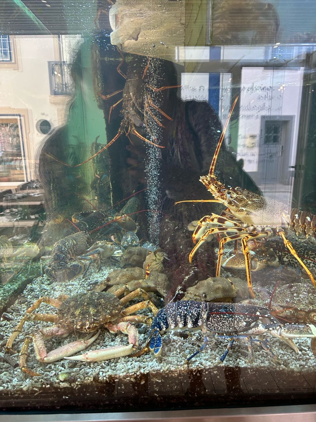 Image of spot Ribas Marisqueira recommended by Phoenicia Salén