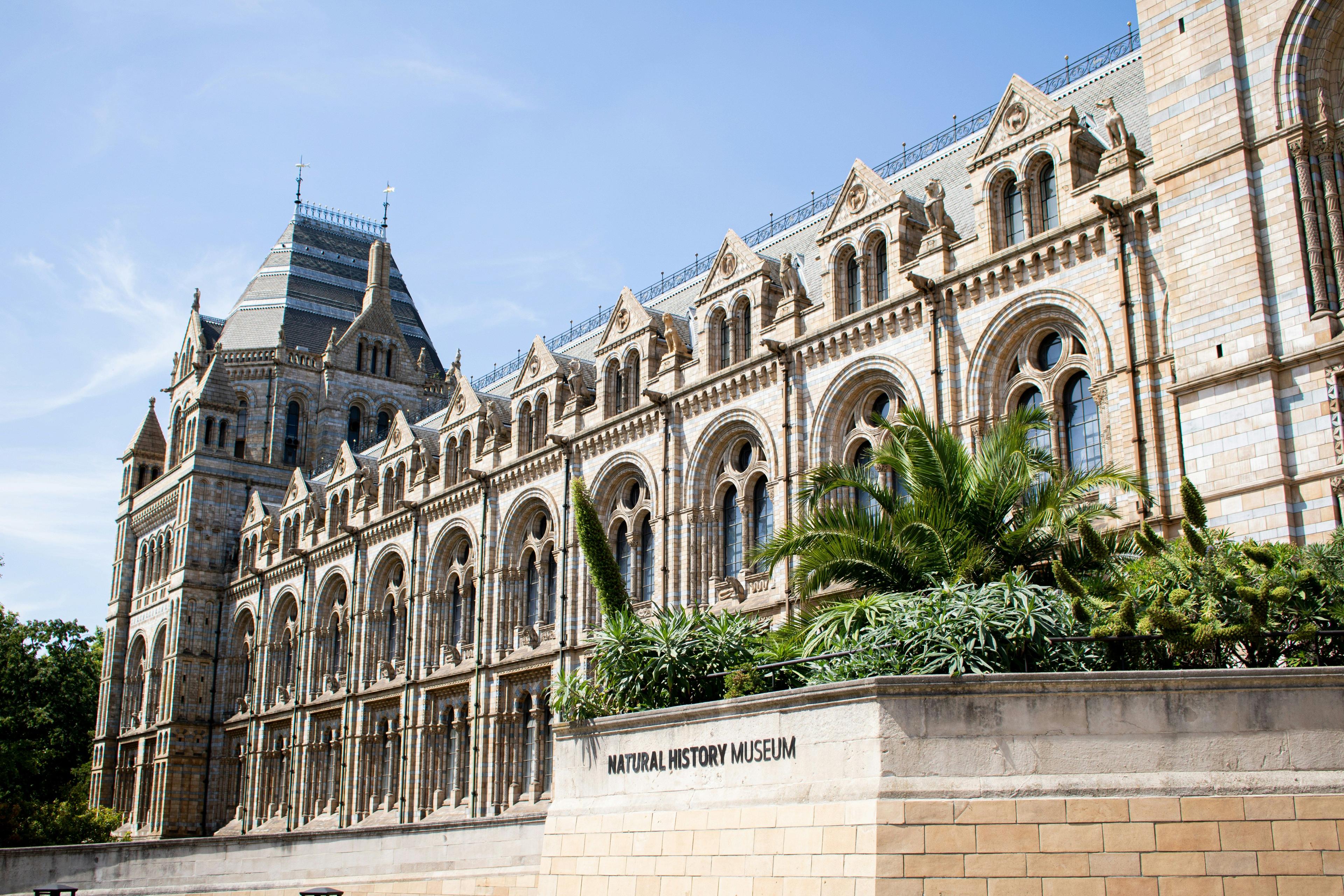 the natural history museum