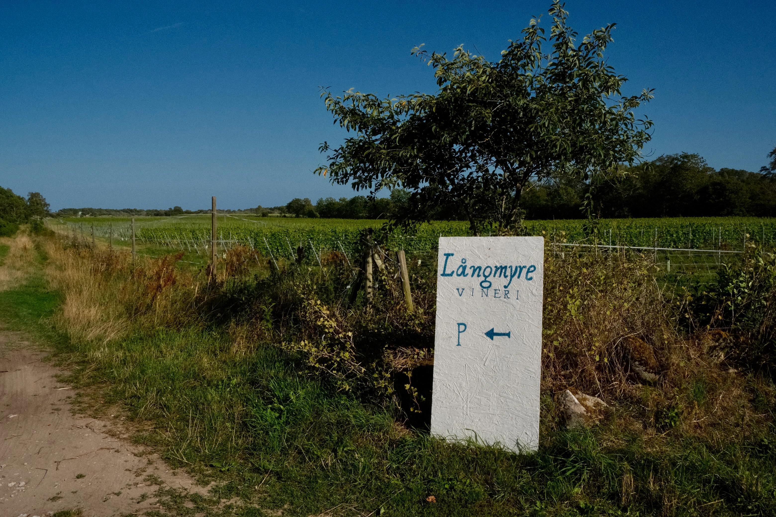 Långmyre Vineri