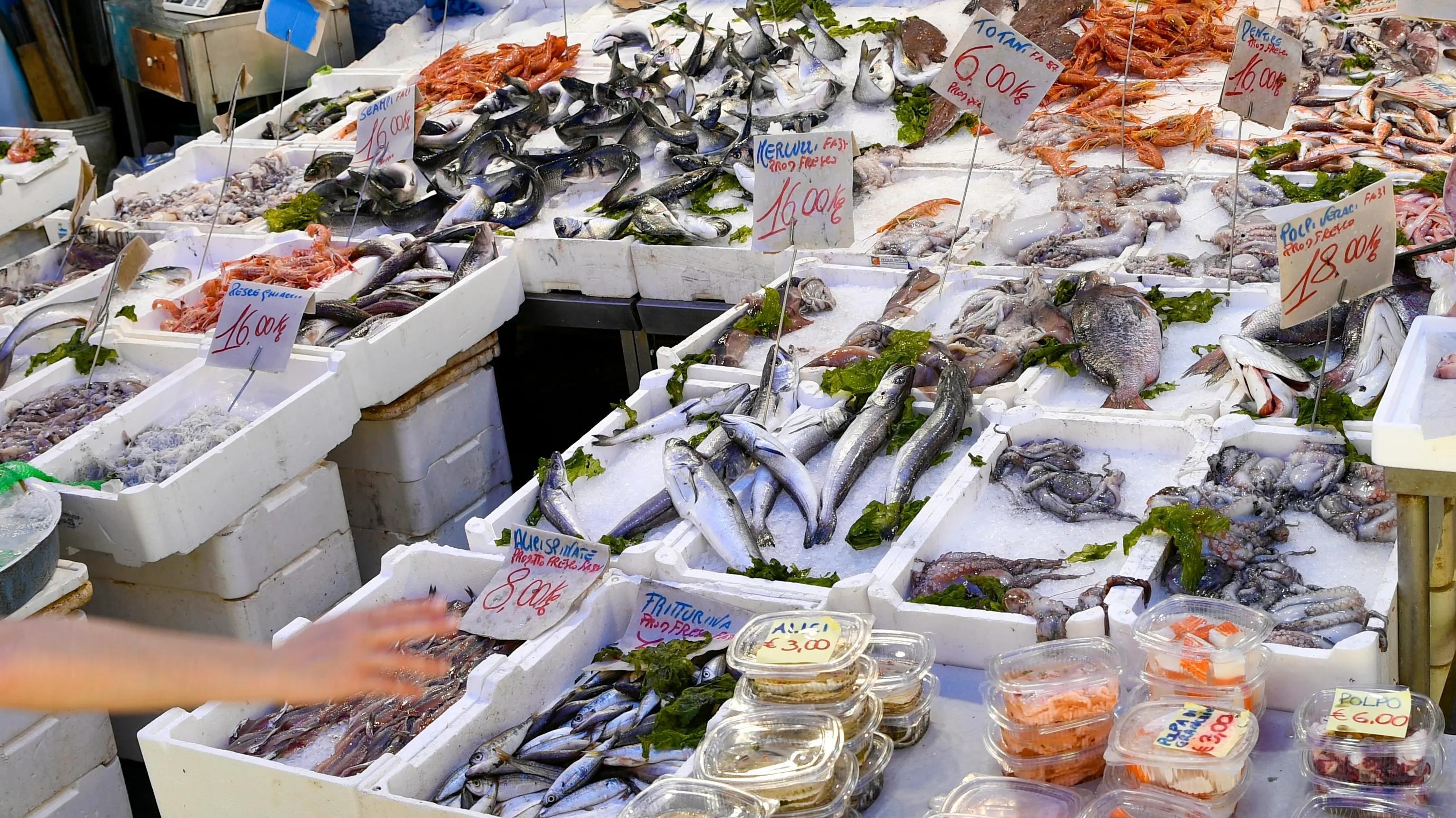 Seafood Restaurants in Naples