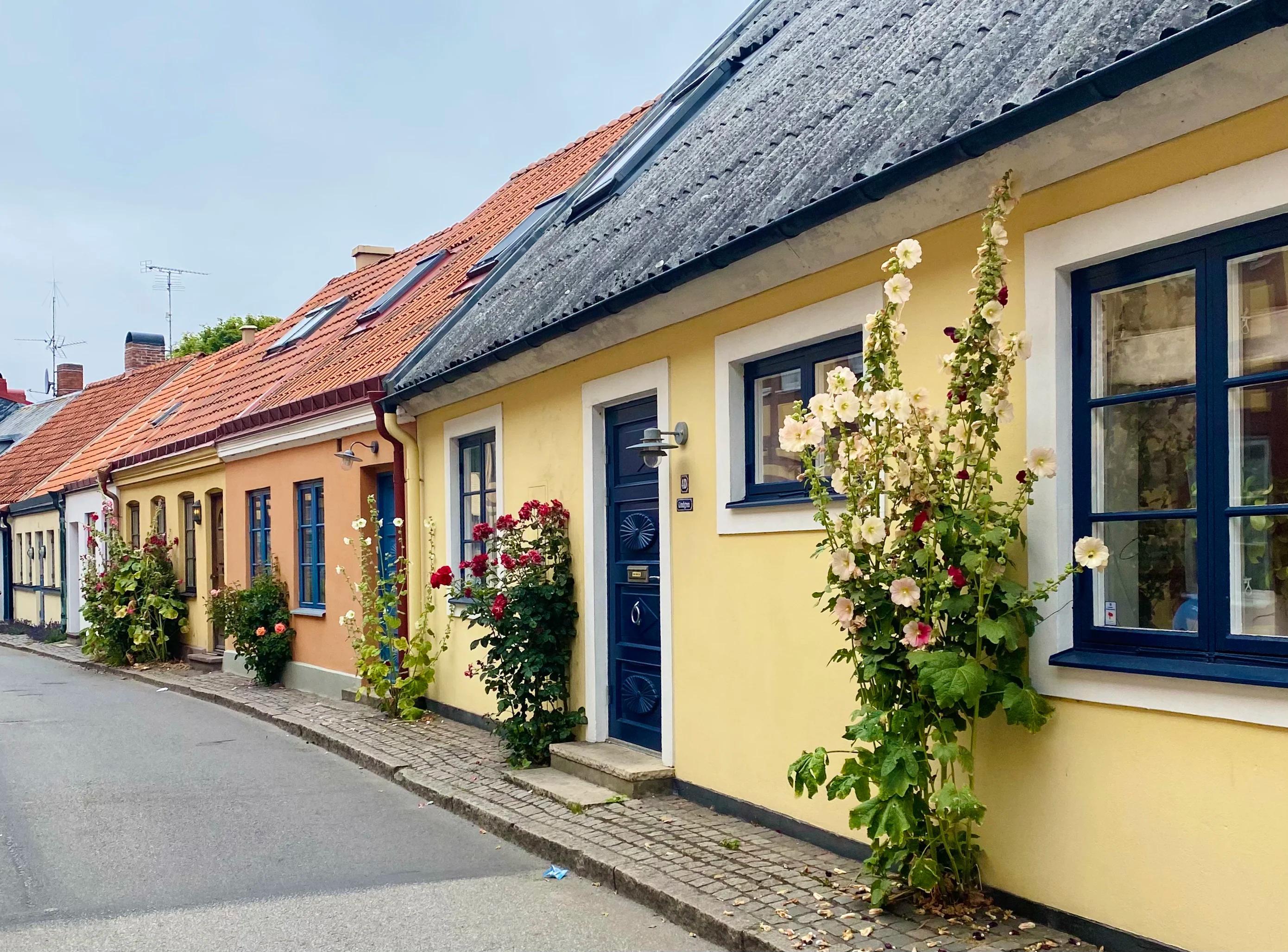 Sommarsemester på Österlen