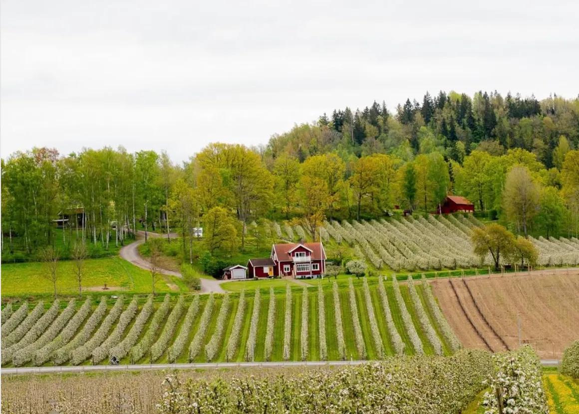 Gårdskaféer längs motorvägen