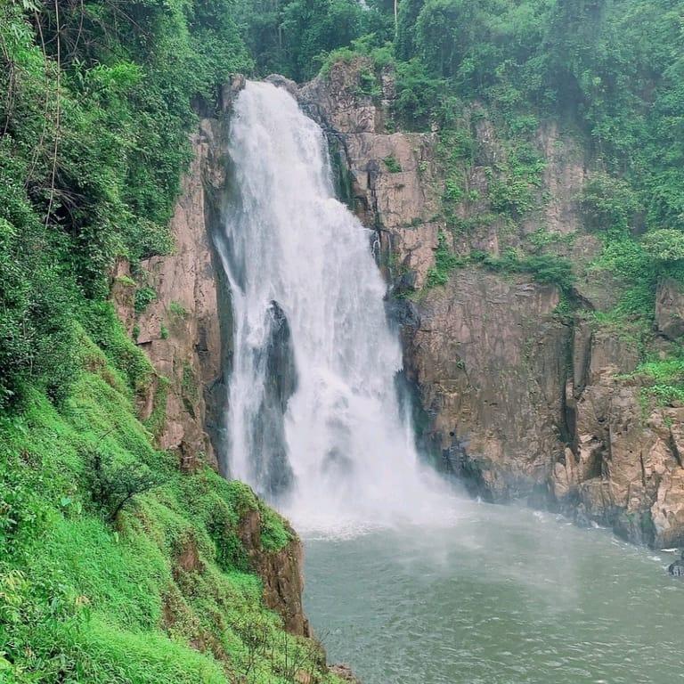 image of Khao Yai National Park