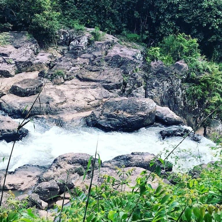 image of Khao Yai National Park