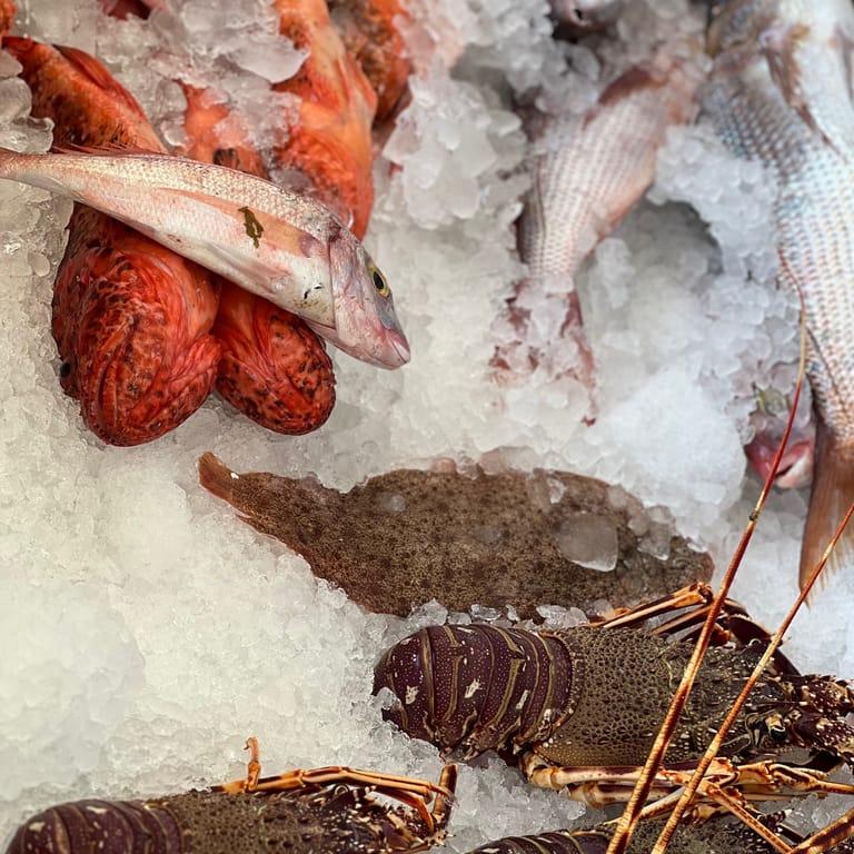 image of Kolona Experience