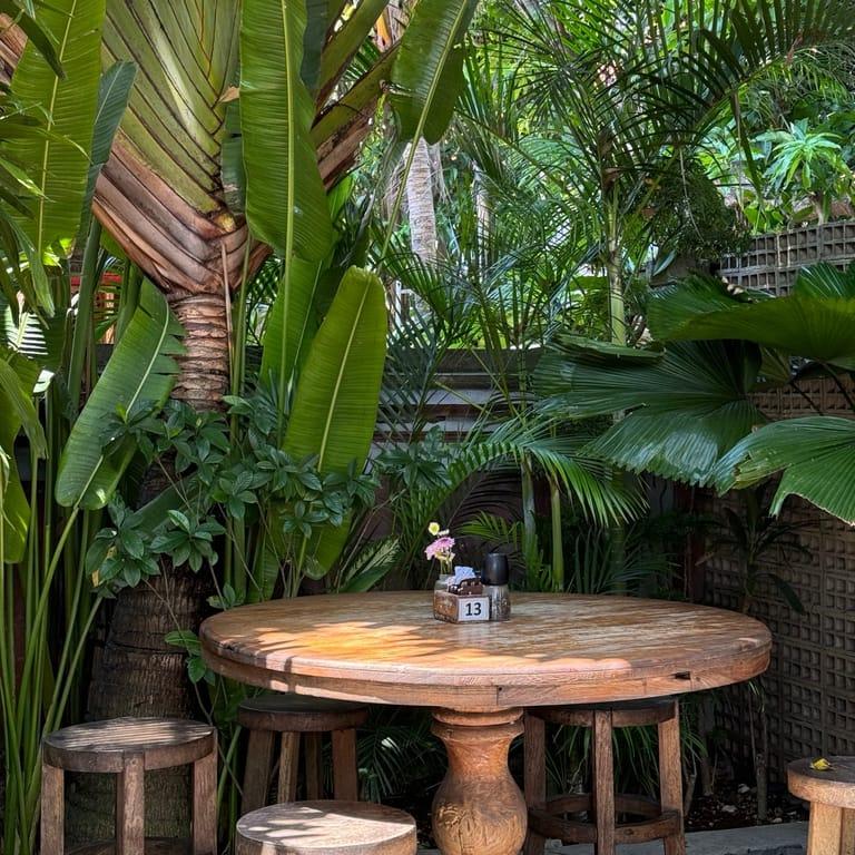 image of Shady Shack