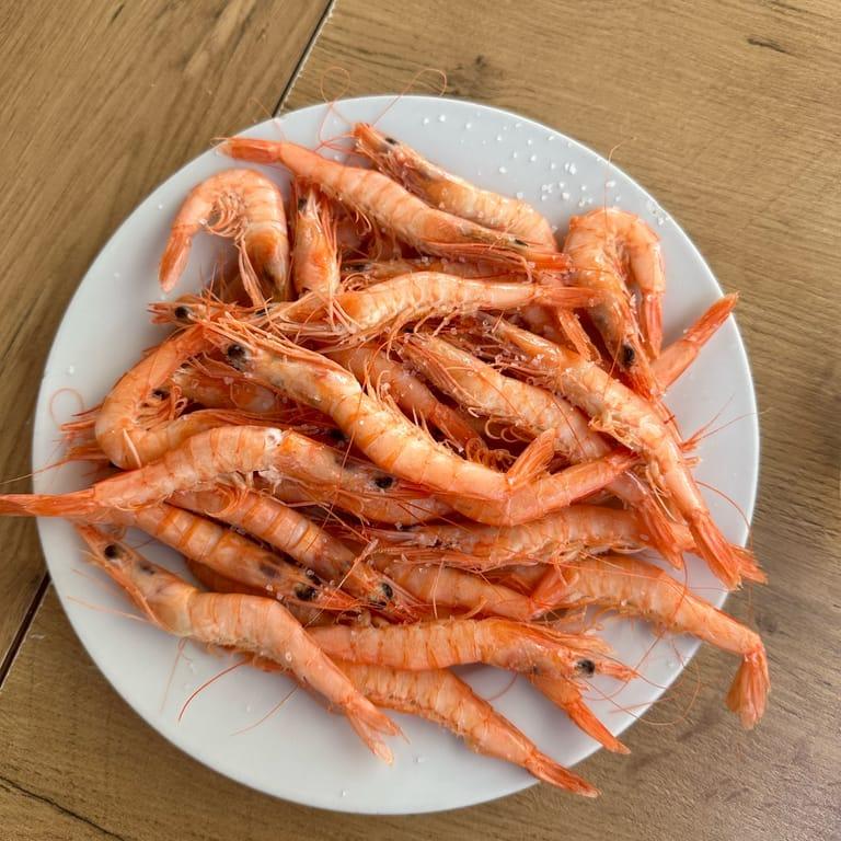 image of Cervecería La + Fría Marbella