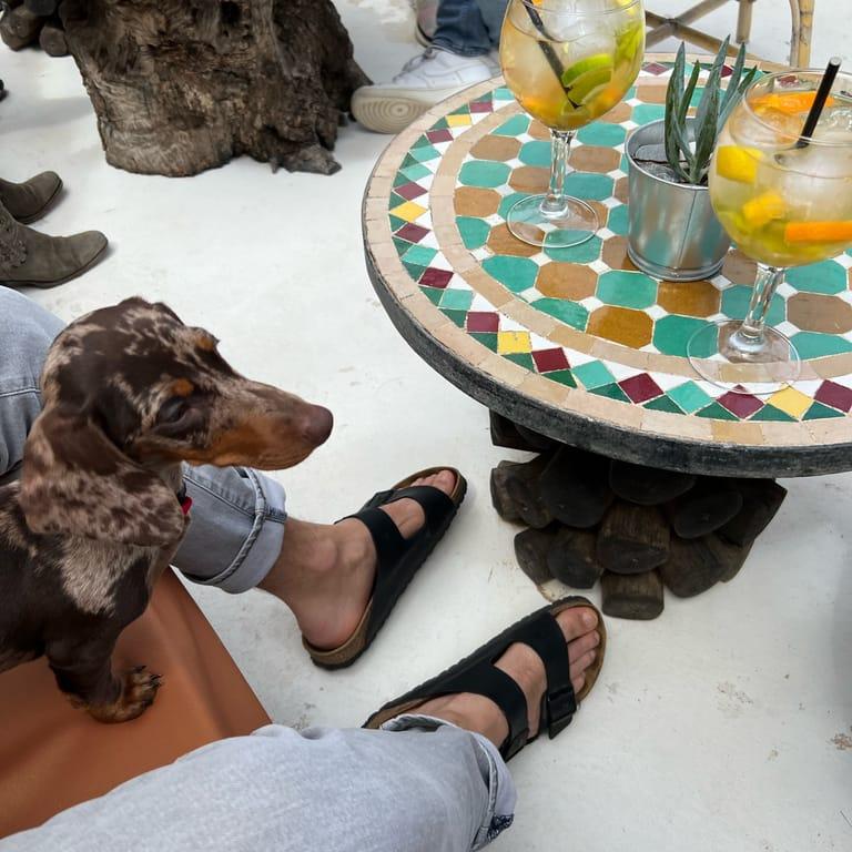 image of Cala Clémence del Portitxol