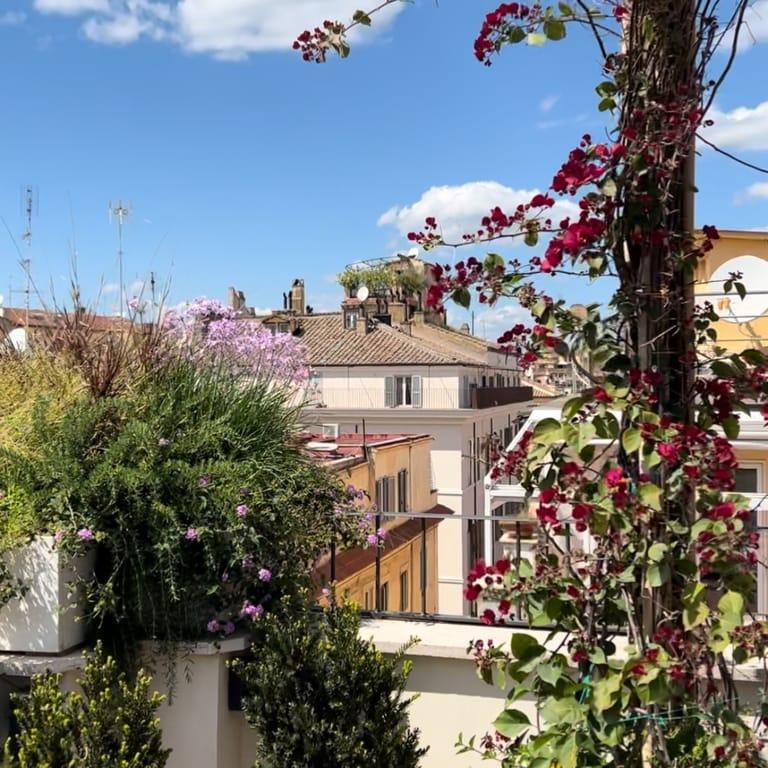 image of TB PLACE ROMA