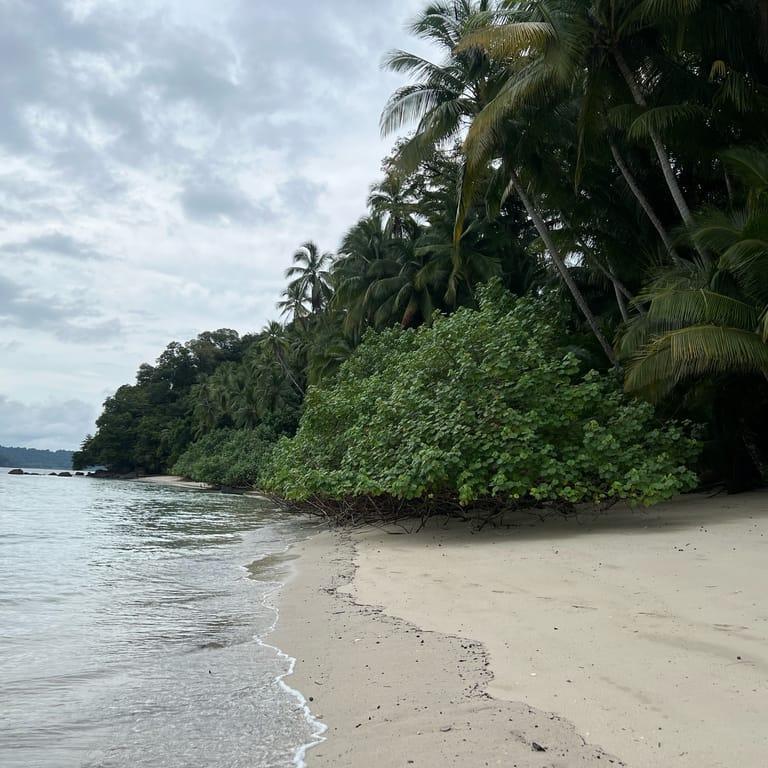 image of Unlimited Adventures Coiba