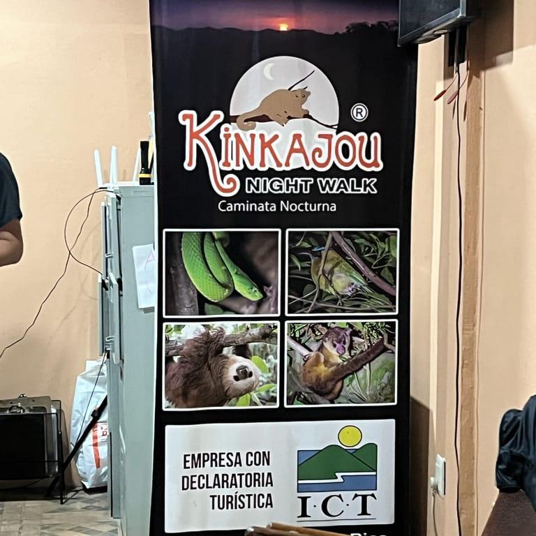 image of Kinkajou Night Walk