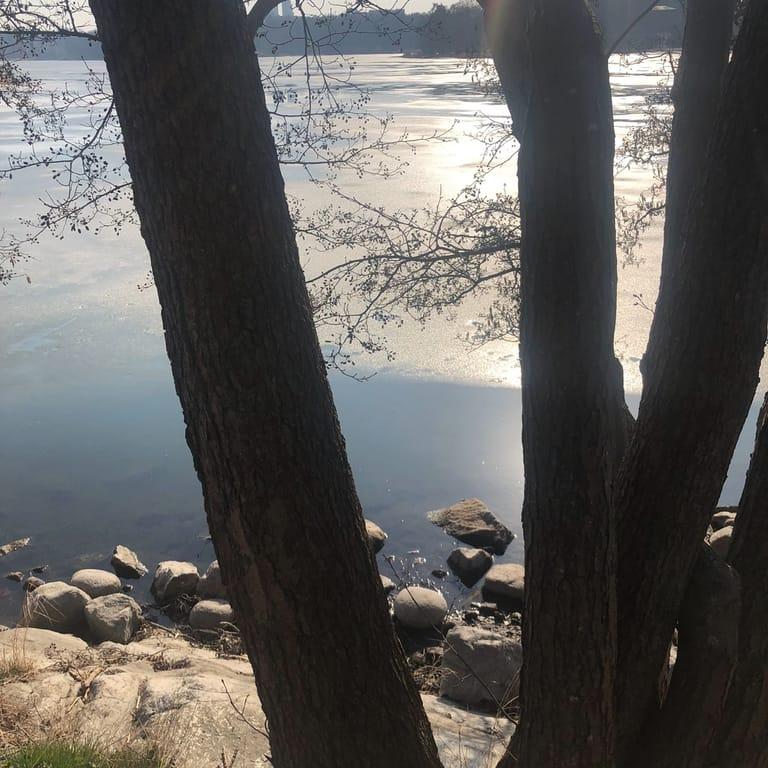 image of Brunnsvikens Kanotklubb