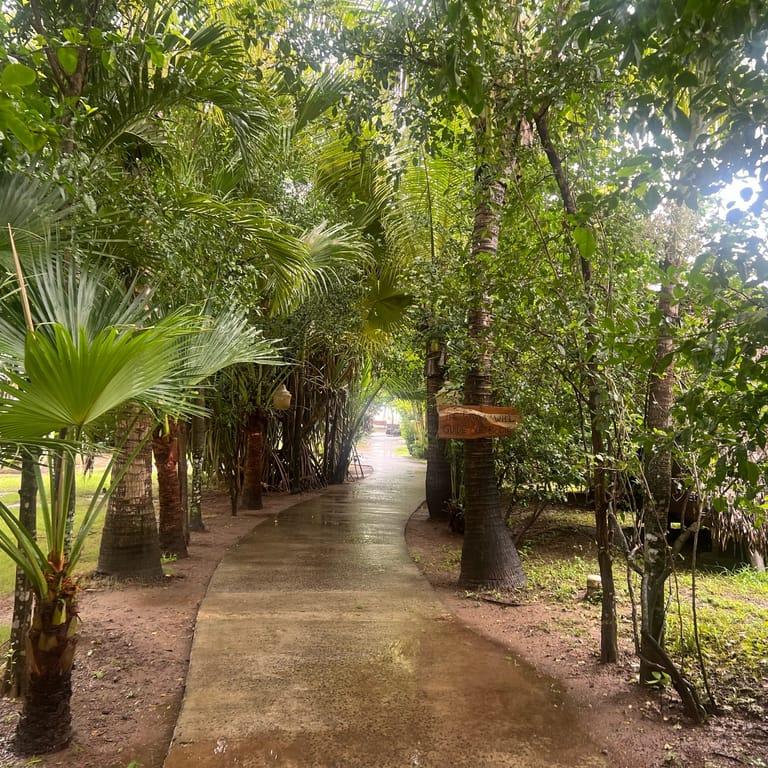 image of Selina Playa Venao