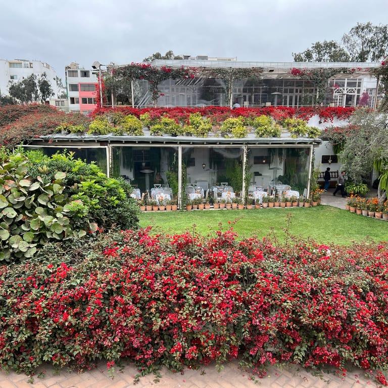 image of Cafe Museo Larco