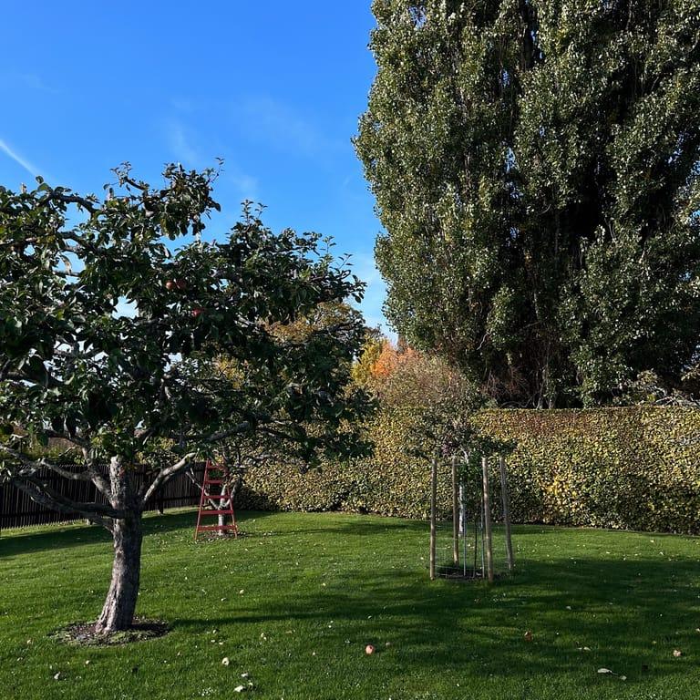 image of Hellekis Kök & Trädgårdscafé