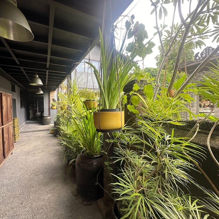 image of Gaya Ceramic and Design