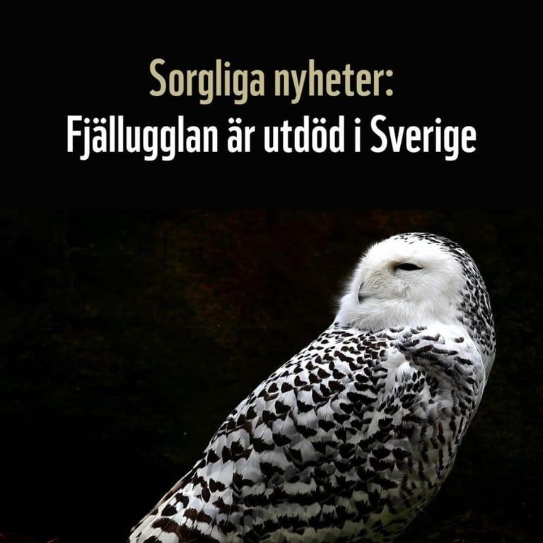 image of Max Burgers