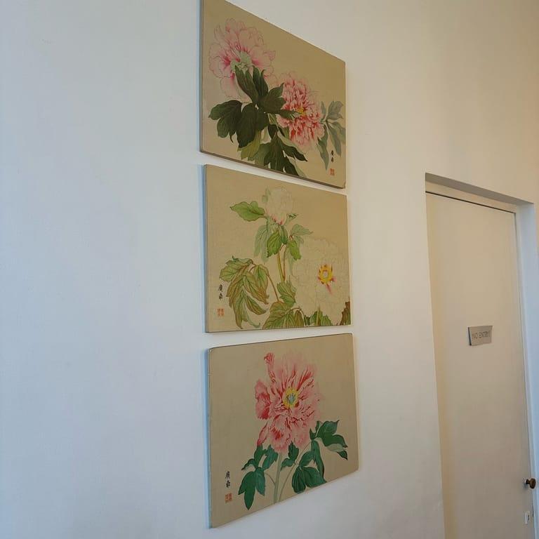 Spot image 3