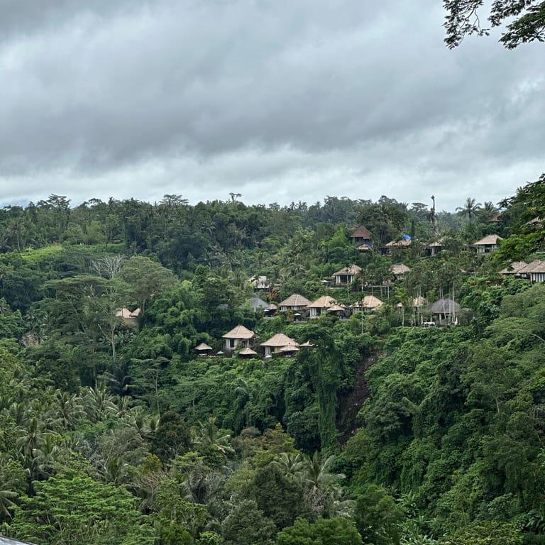 image of CHUPACABRAS - South American | Prime Meats