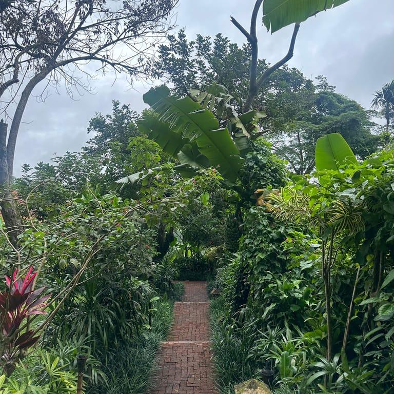 image of CHUPACABRAS - South American | Prime Meats