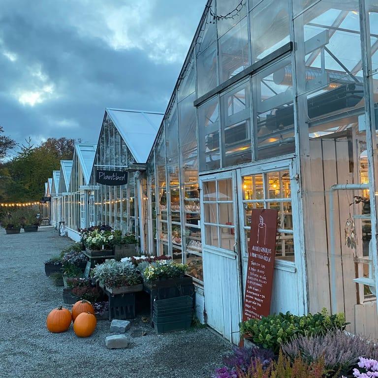 image of Rosendals Trädgård