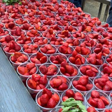 image of Borough Market