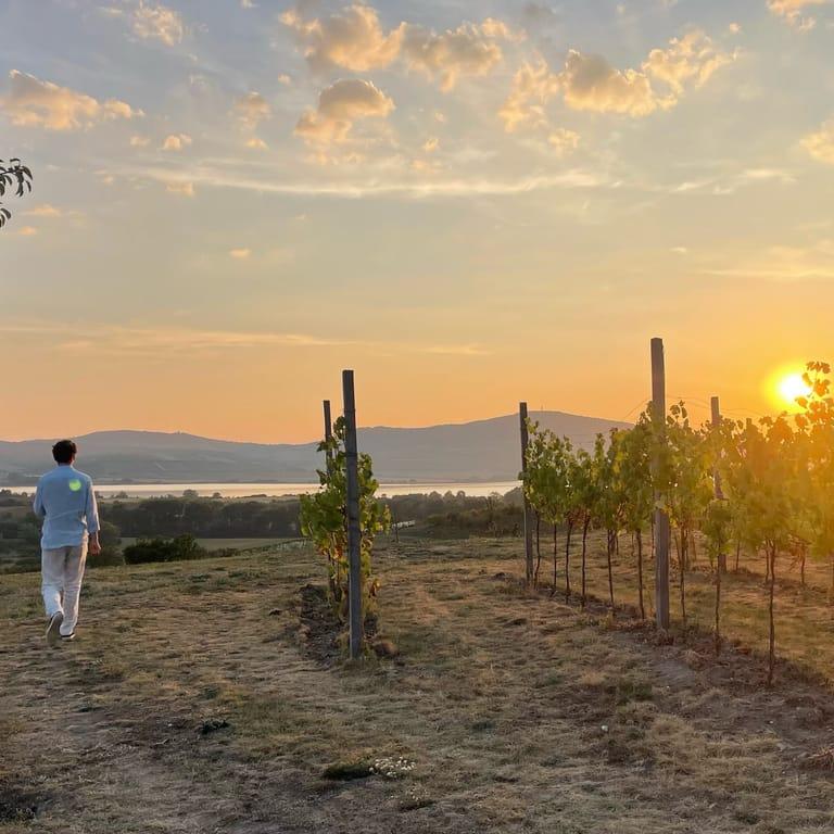 image of Vinařství U Kapličky