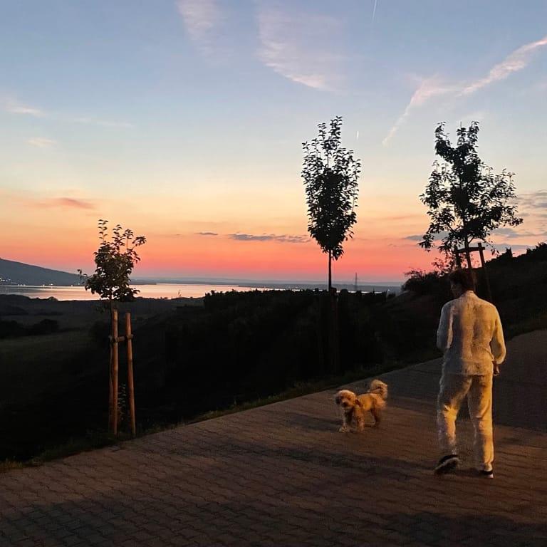 image of Vinařství U Kapličky