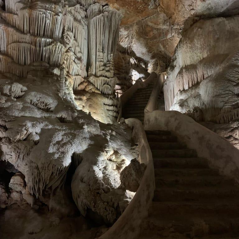 image of Ses Coves. Cafè & Grill