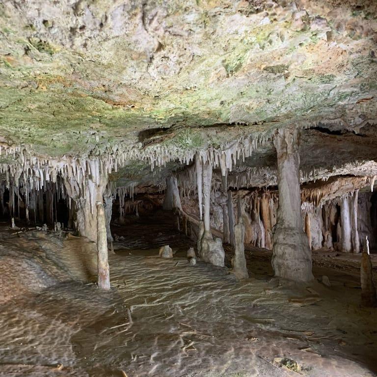 image of Ses Coves. Cafè & Grill