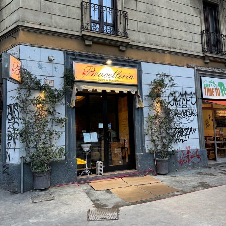 image of Bracelleria