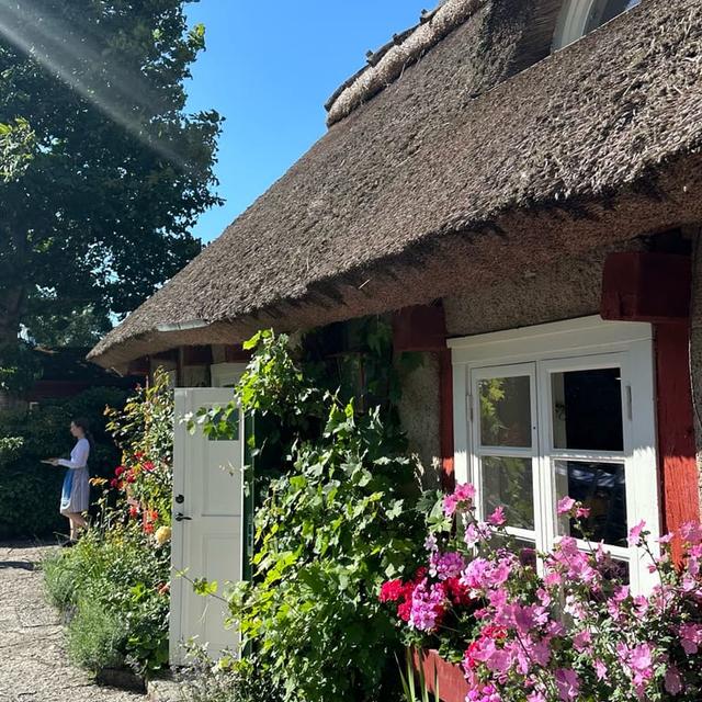 image of the list Top picks