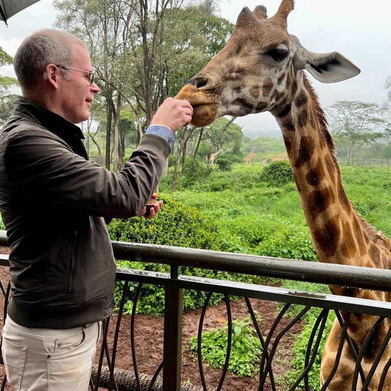 image of Giraffe Centre