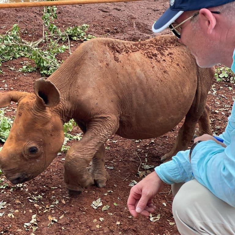 Image of the location Elephant Nursery
