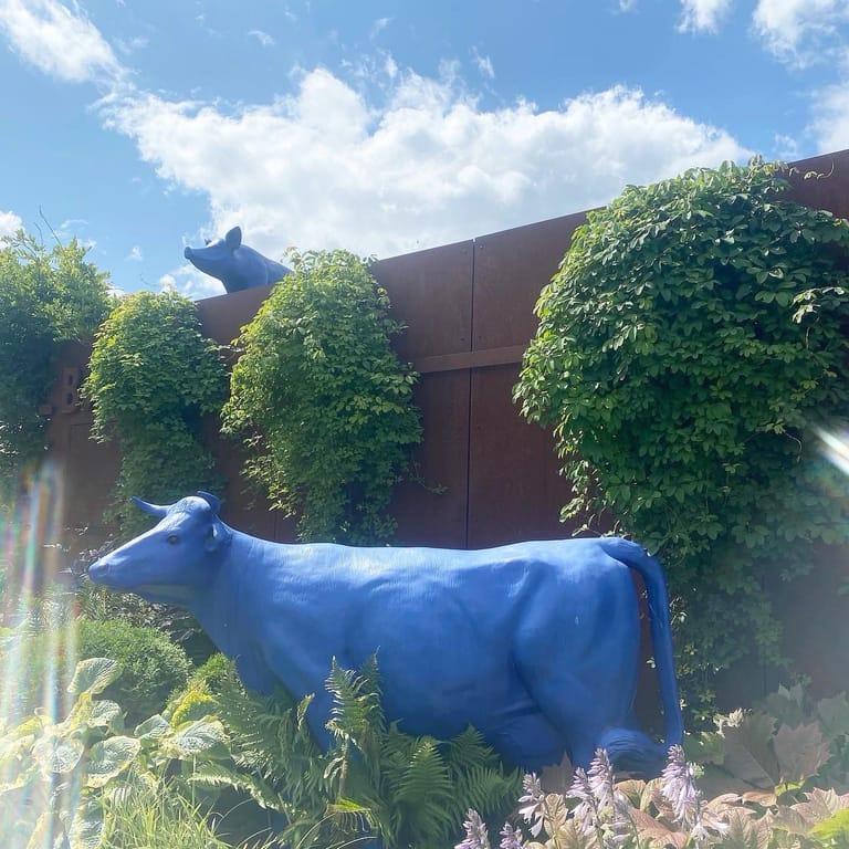 image of Absolut Vodka