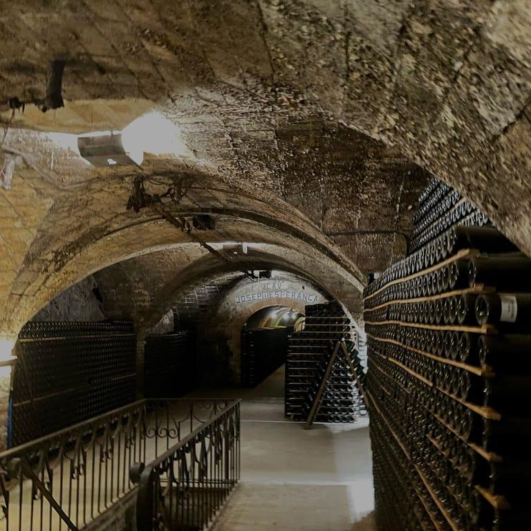 image of Gramona Celler Batlle