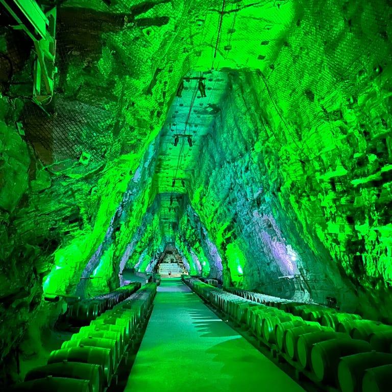 Image of the location Terra Vinea