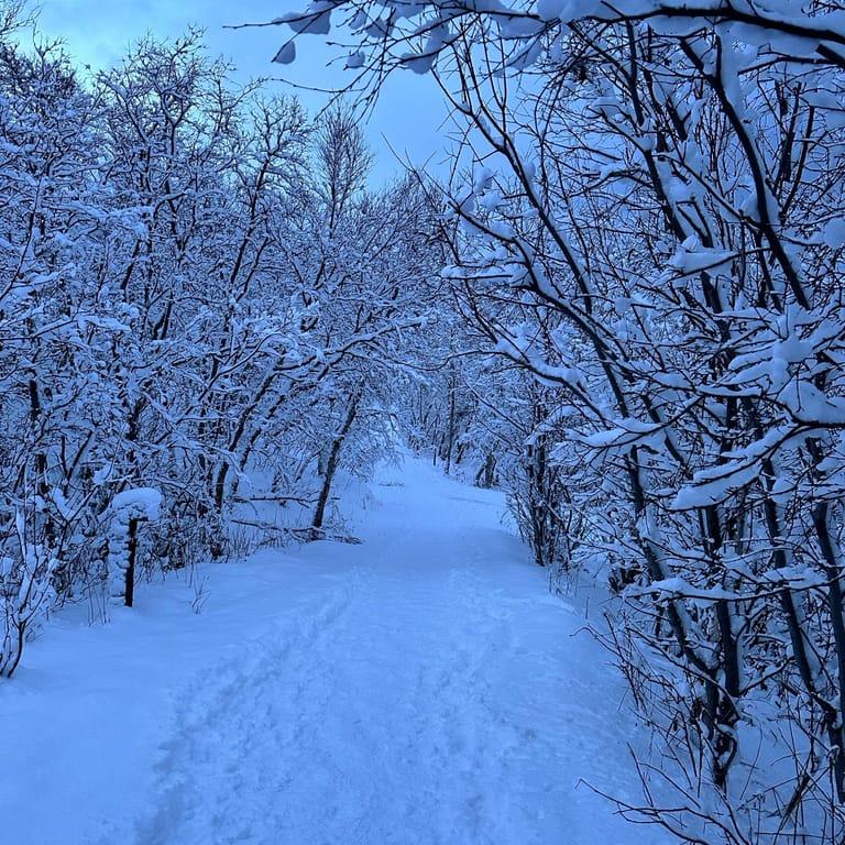 image of STF Abisko Turiststation