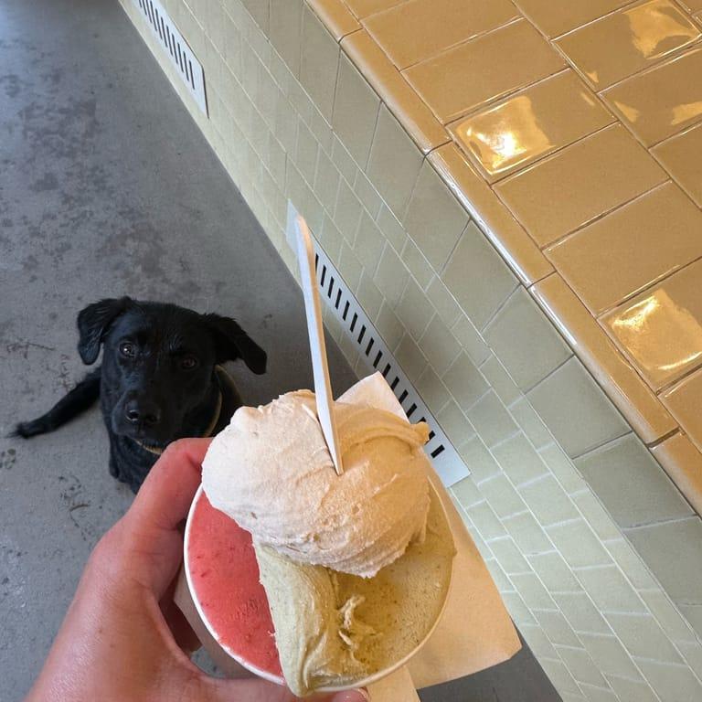 image of Gelato Scarfò