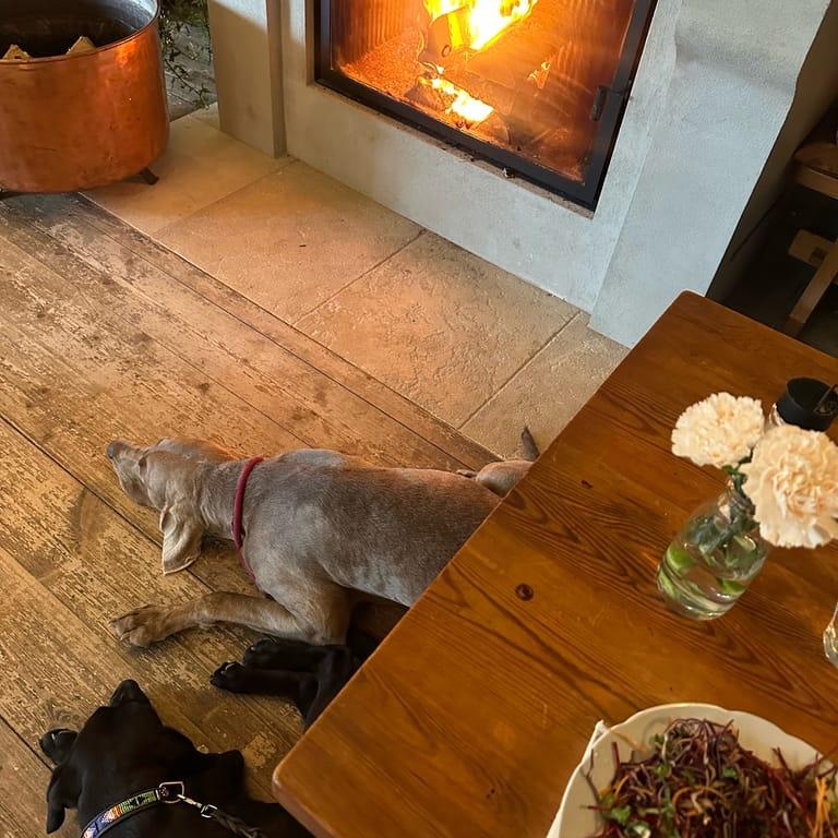 image of Djurgårdsbrunn