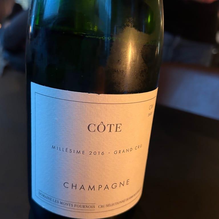 image of Spontan Wine Bar