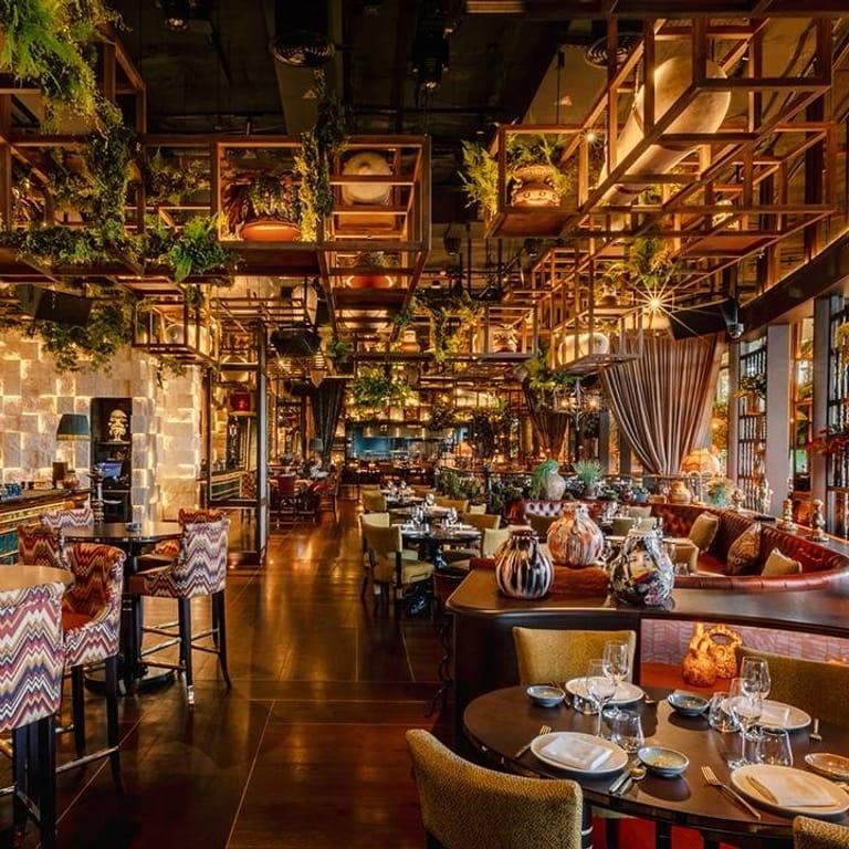 image of COYA Dubai