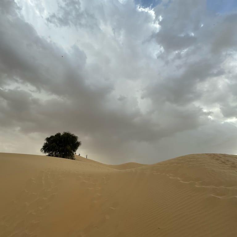Spot image 4