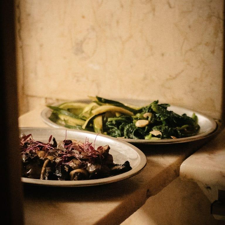 image of O Palmeiral