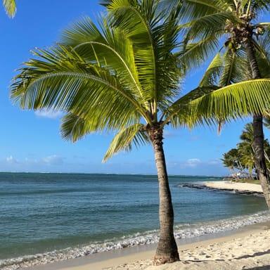 image of One&Only Le Saint Géran