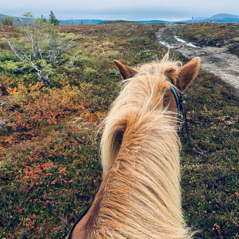 image of Ottsjö Fjällgård