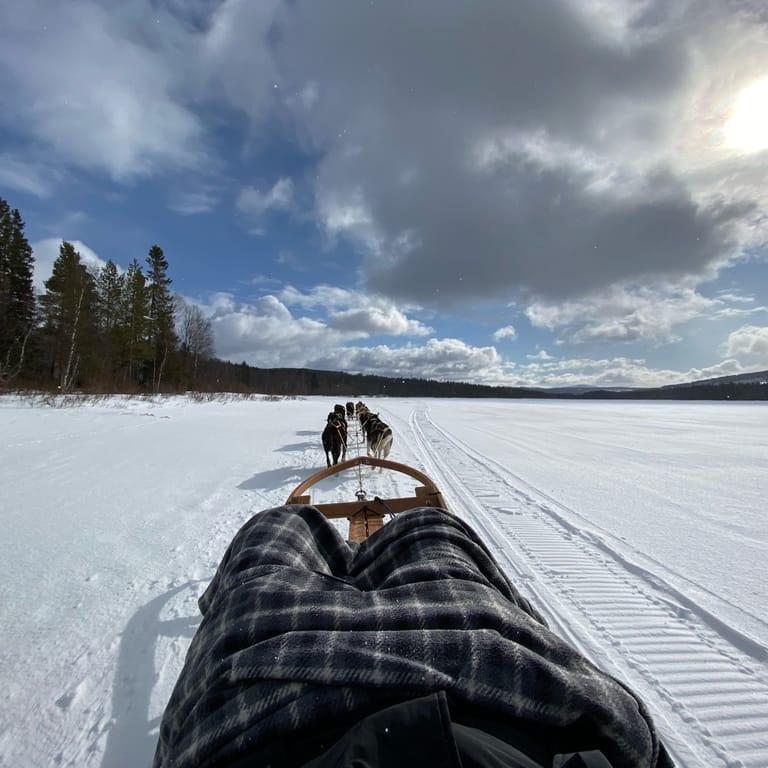 image of Riverlodge Huskys
