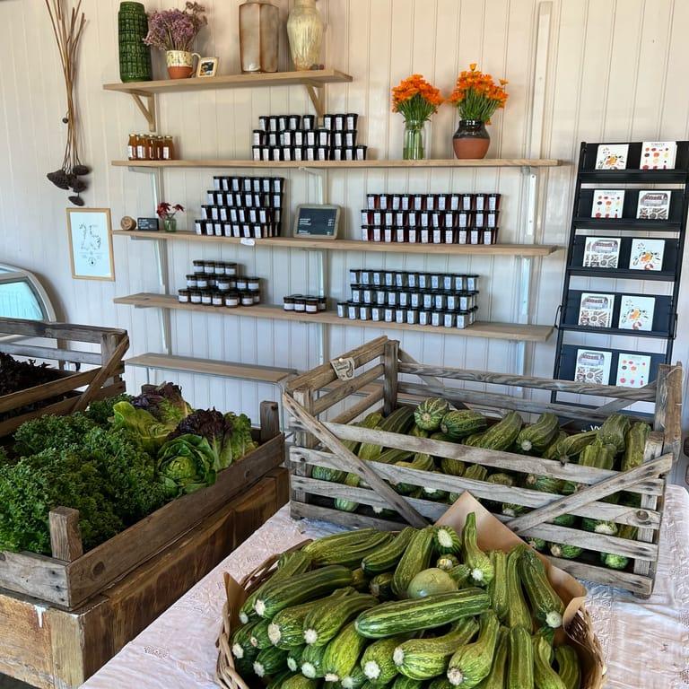 image of Mandelmann's Gardens