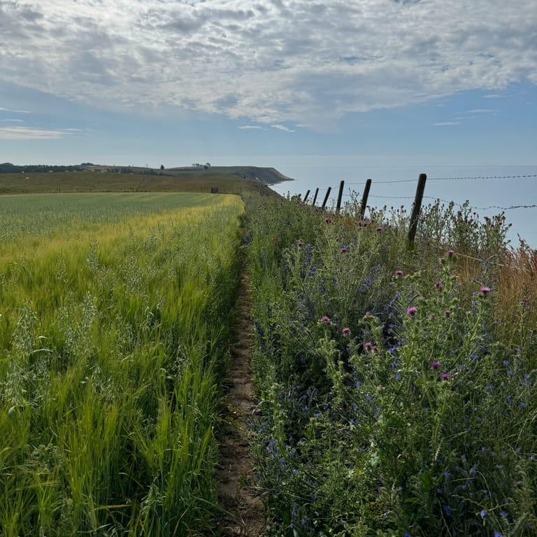 image of Hammars backar-Kåsebergaåsen Naturvårdsområde