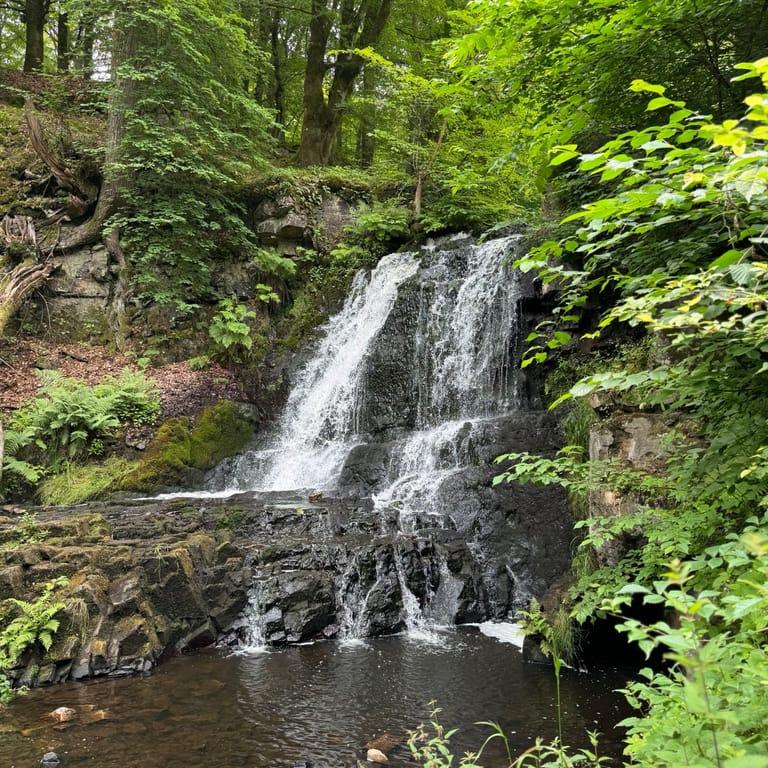 image of Sträntemölla